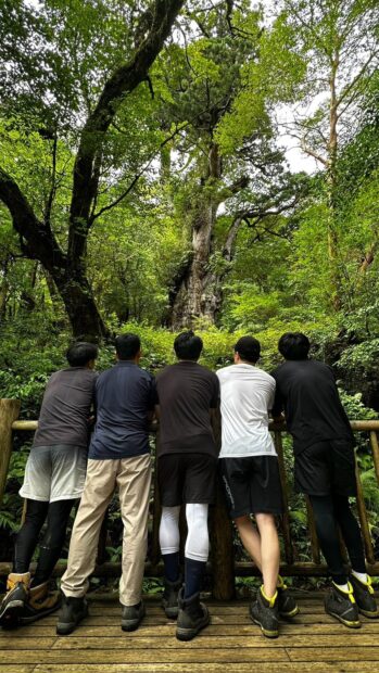 第44回　屋久島で考えた、変数に乗るビジネスの怖さ